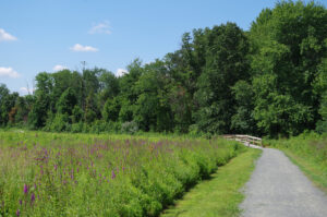 A photograph of a trail through the meadows. The trails crosses a bridge as it bends out of view.