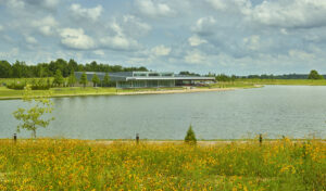 A field of yellow flowers are blooming in the foreground, with the rest of the photo looking out over the lake to the park's Event Center.