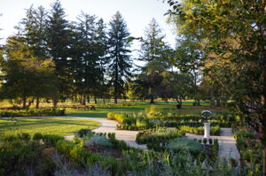Beyond the heavily planted gardens, a group of picnic tables are in the lawn surrounded by tall pine trees.
