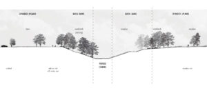 Rendered section showing one proposed planting typology along the bayous which may include lawn, meadow, and woodlands.