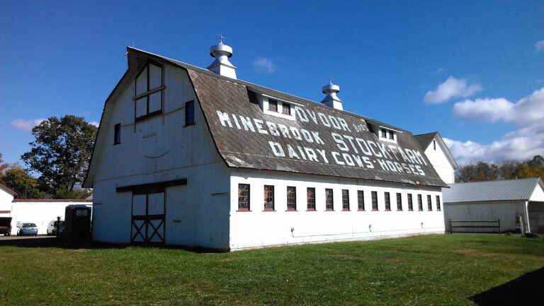 Photograph of the Dvoor barn. On the roof is painted "Dvoor Minebrook Stock-Farm Dairy Cows - Horses"
