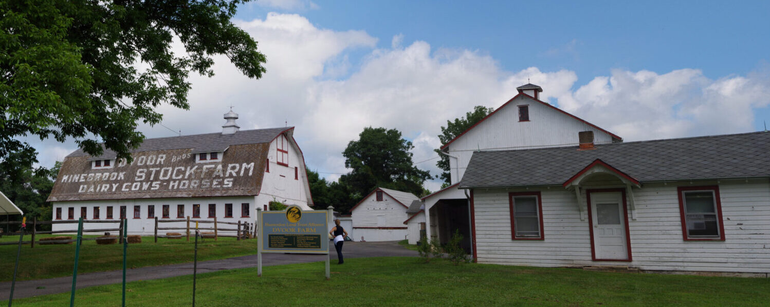 Case-Dvoor Panorama, 2015 (Cropped) Panoramic photograph of the entrance to Dvoor Farm with the main farm driveway and buildings to either side.