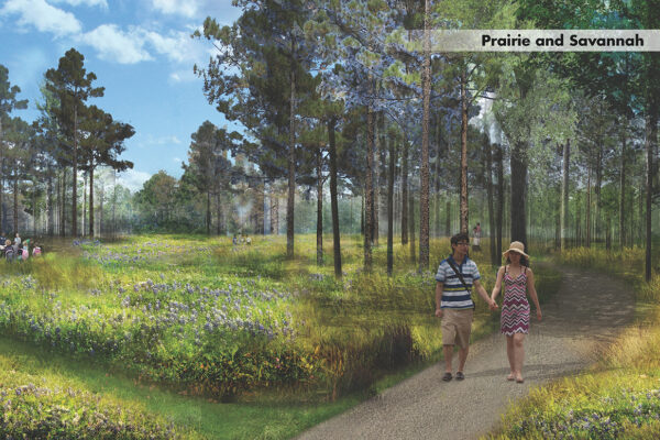Illustrative rendering of a prairie landscape at HANC with tall grasses and some trees. A couple holding hands is walking on a path through the landscape.