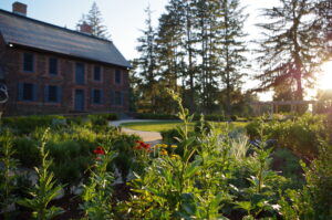 In focus in the foreground are several young plants with flowers. Out of the focus in the background, the historic brick Mansion, circular lawn, and tall pine trees can be seen.