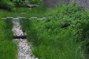Green sedges and shrubs flank a riverstone channel that continues into the background. A short concrete weir is partway down the stone channel.